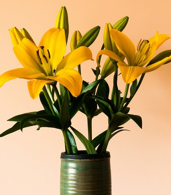 calla lily flower bouquet The Charlotte Bouquet (Long Stem) – Forever Floral Co main image 1