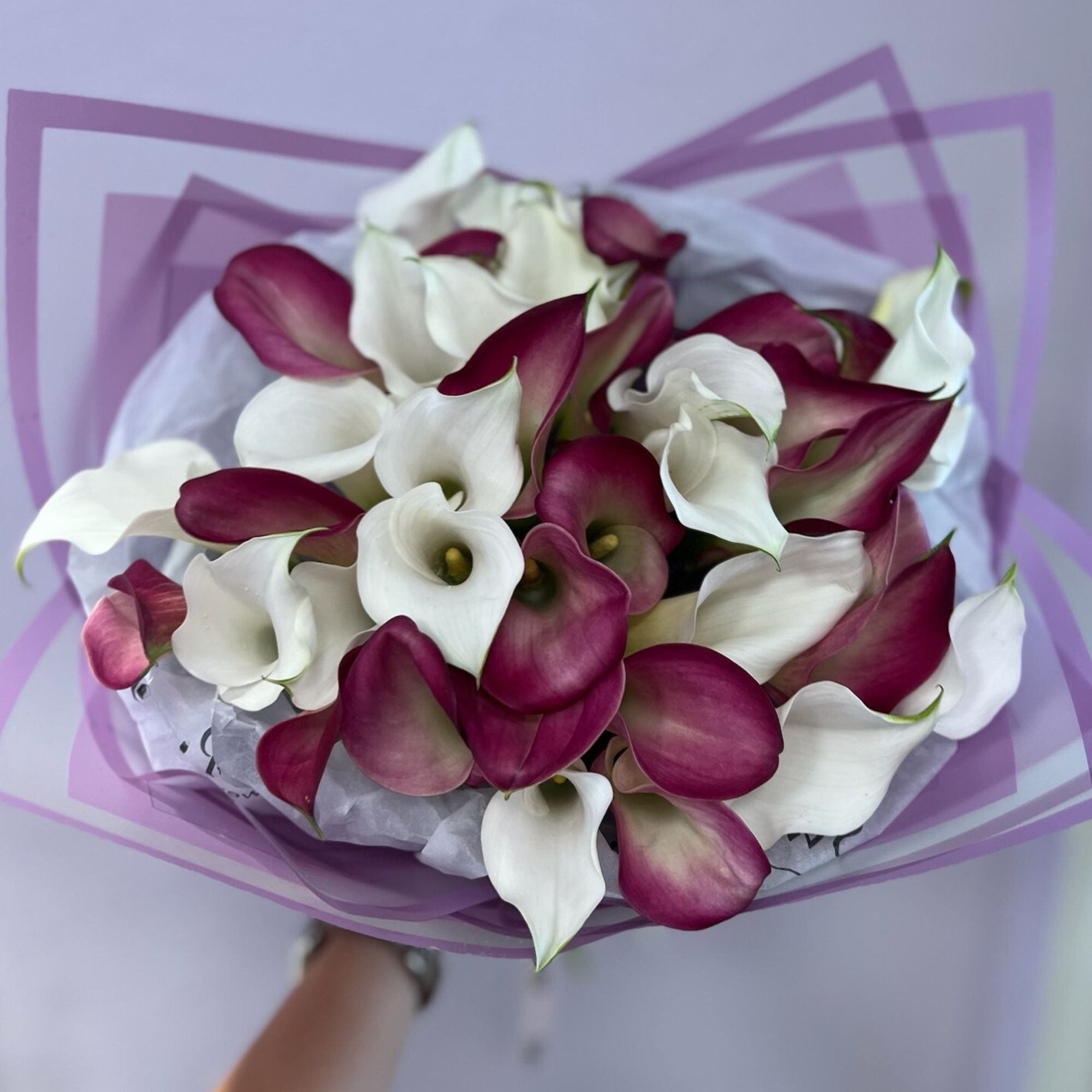 lily purple and white 20 white and 20 purple Calla Lilies