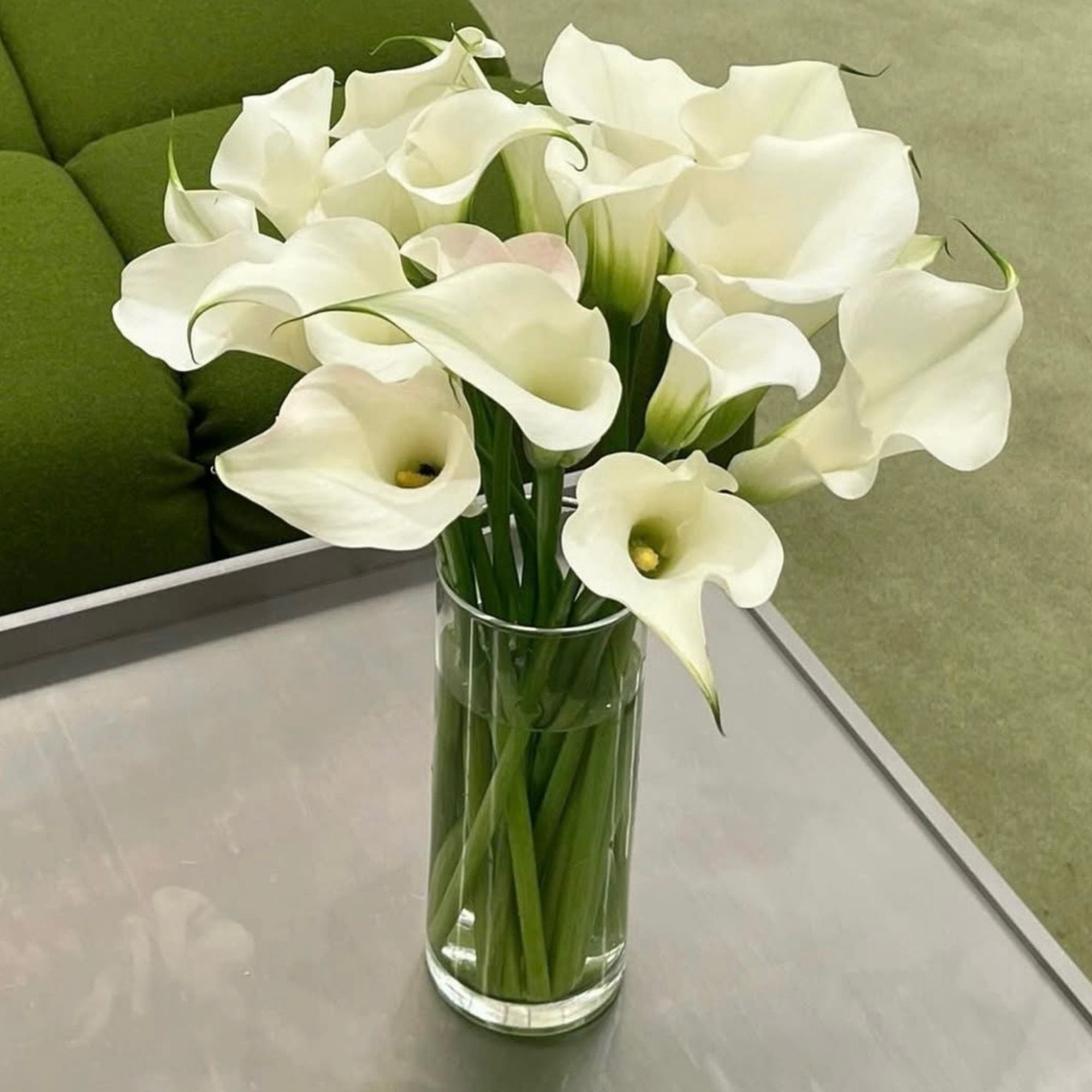 white calla lilies in vase White Calla Lilies in a vase