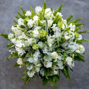Whites / Greens/Florist's Choice