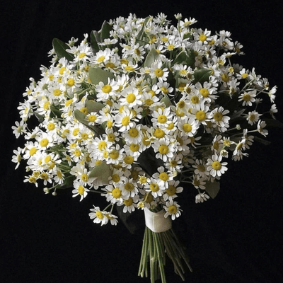 Daisies Wedding Bouquet - ART Flowers LA