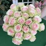 Frutteto Roses - ART Flowers LA