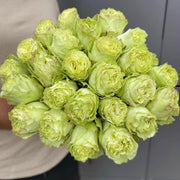 Green Lemonade Roses - ART Flowers LA