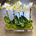 Orchids for You - ART Flowers LA