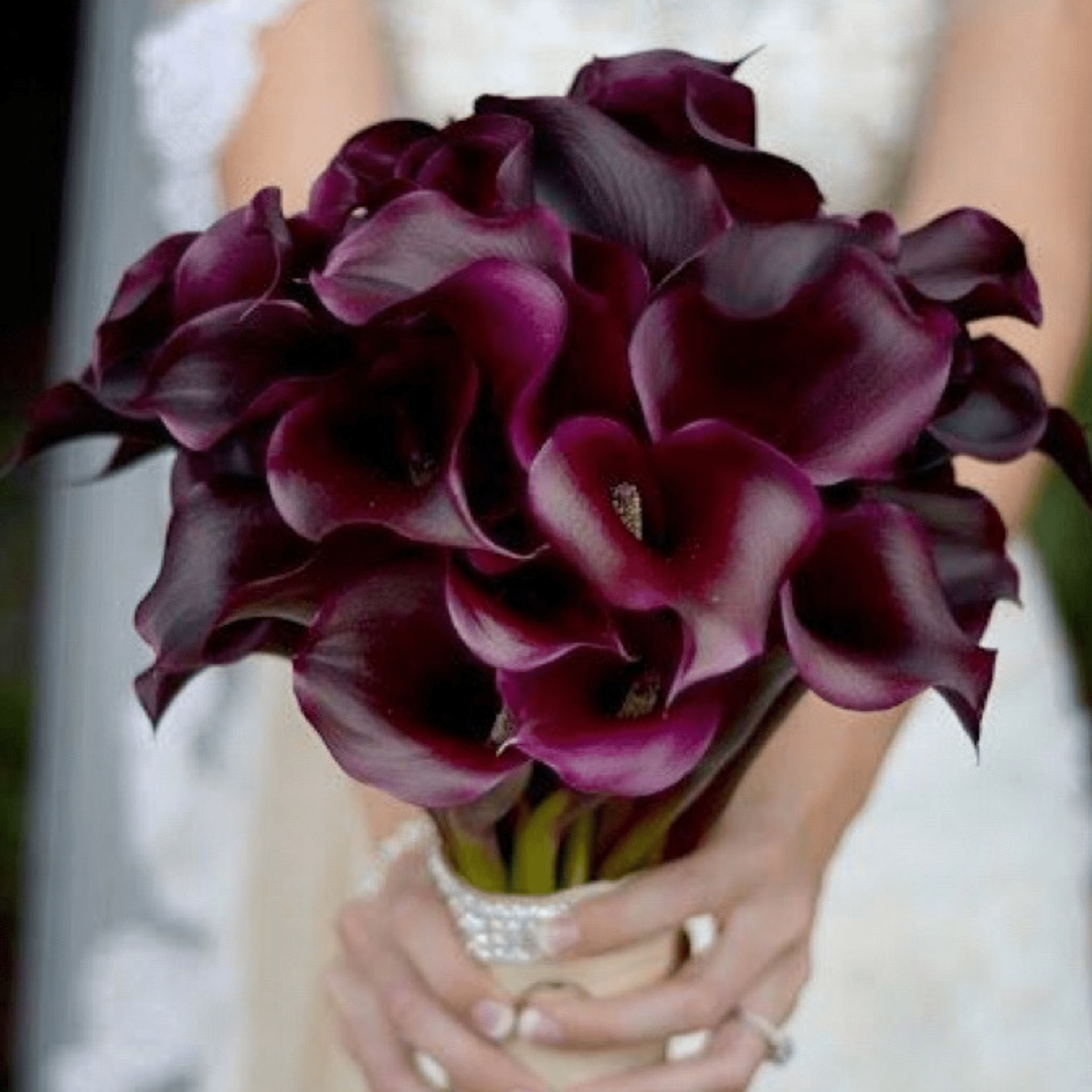purple and white calla lily wedding bouquet Purple Calla Lilies Wedding Bouquet