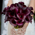 Purple Calla Lilies Wedding Bouquet - ART Flowers LA