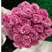 Purple Garden Roses - ART Flowers LA