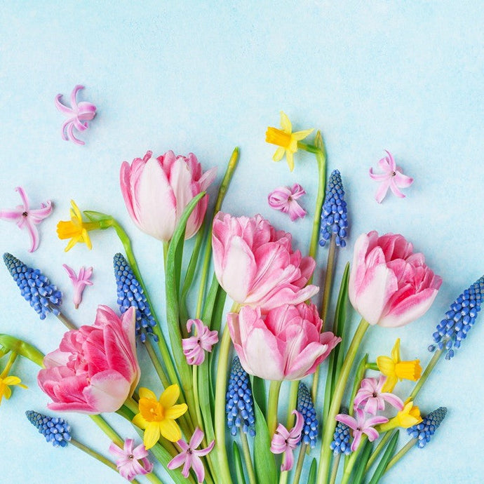 Gentle Romantic Spring Flowers