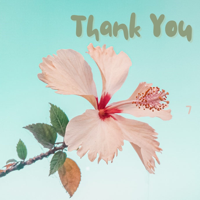Flowers That Say Thank You