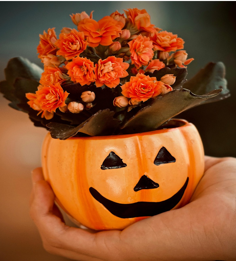 The Ultimate Guide to Halloween Flowers: A Spooky Floral Arrangement Handbook
