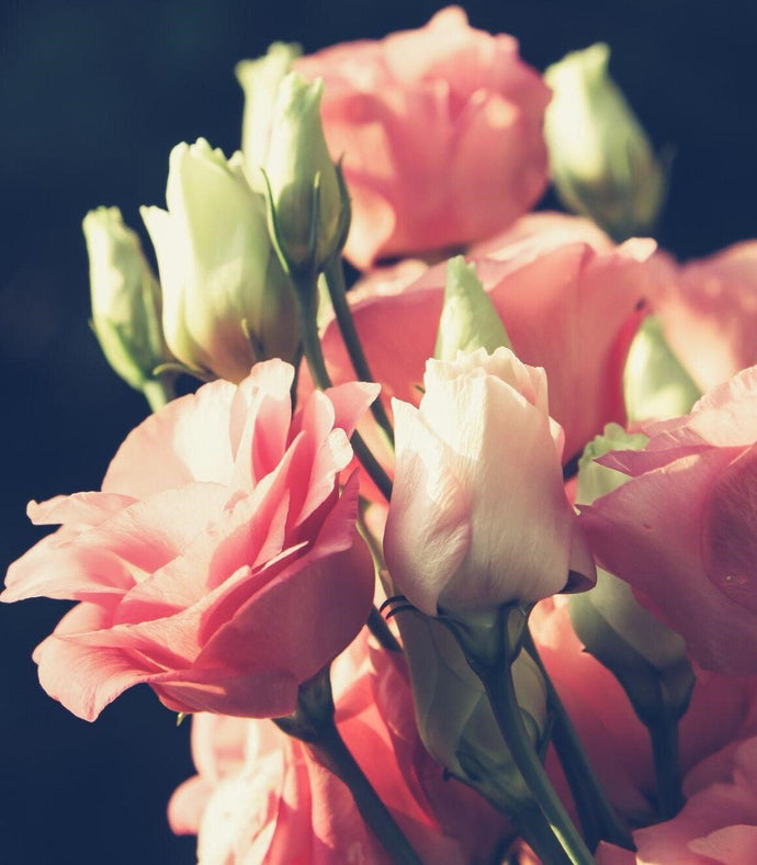 A Step-by-Step Guide to Creating Stunning Rose Bouquets