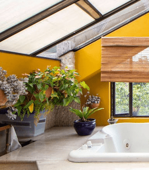 Best Indoor Plants for Bathroom