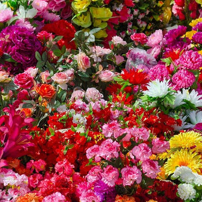 Colorful mixed flower display