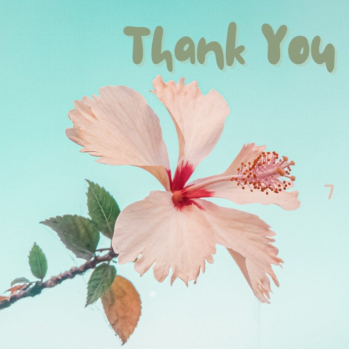 Flowers That Say Thank You