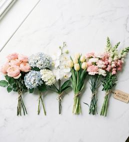 Cut roses, hydrangeas, tulips and other flowers arranged in groups