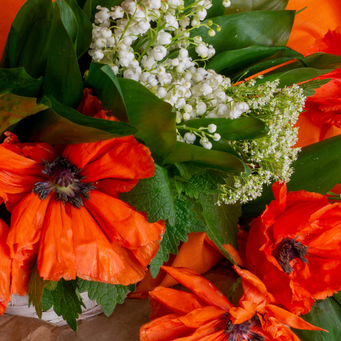 March Birthday Flowers and their meanings