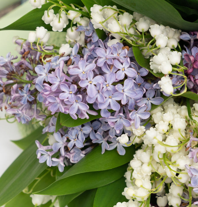 May Birthday Flowers and Their Meaning