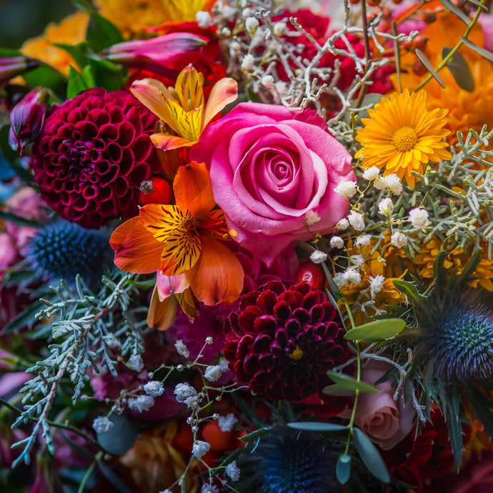 Popular Fall Flowers