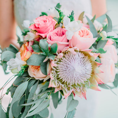 Pink rose wedding bouquet with protea and eucalyptus