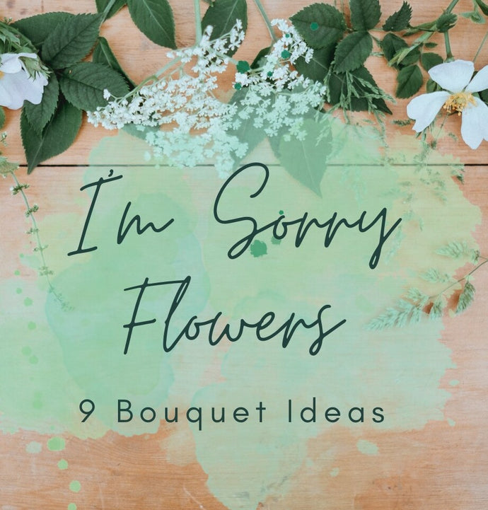 The Flower Apology Guide — Flowers That Mean “I’m Sorry”