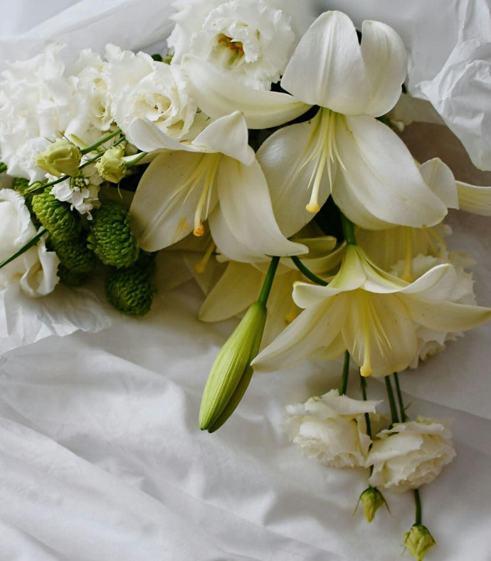 A Guide to White Flowers and Their Meaning
