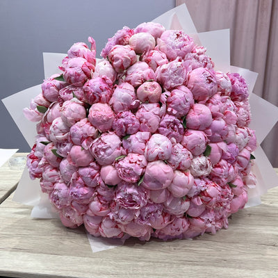 100 Pink Peonies - ART Flowers LA