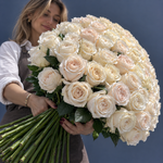 Bouquet of 75 long-stem white roses with green foliage