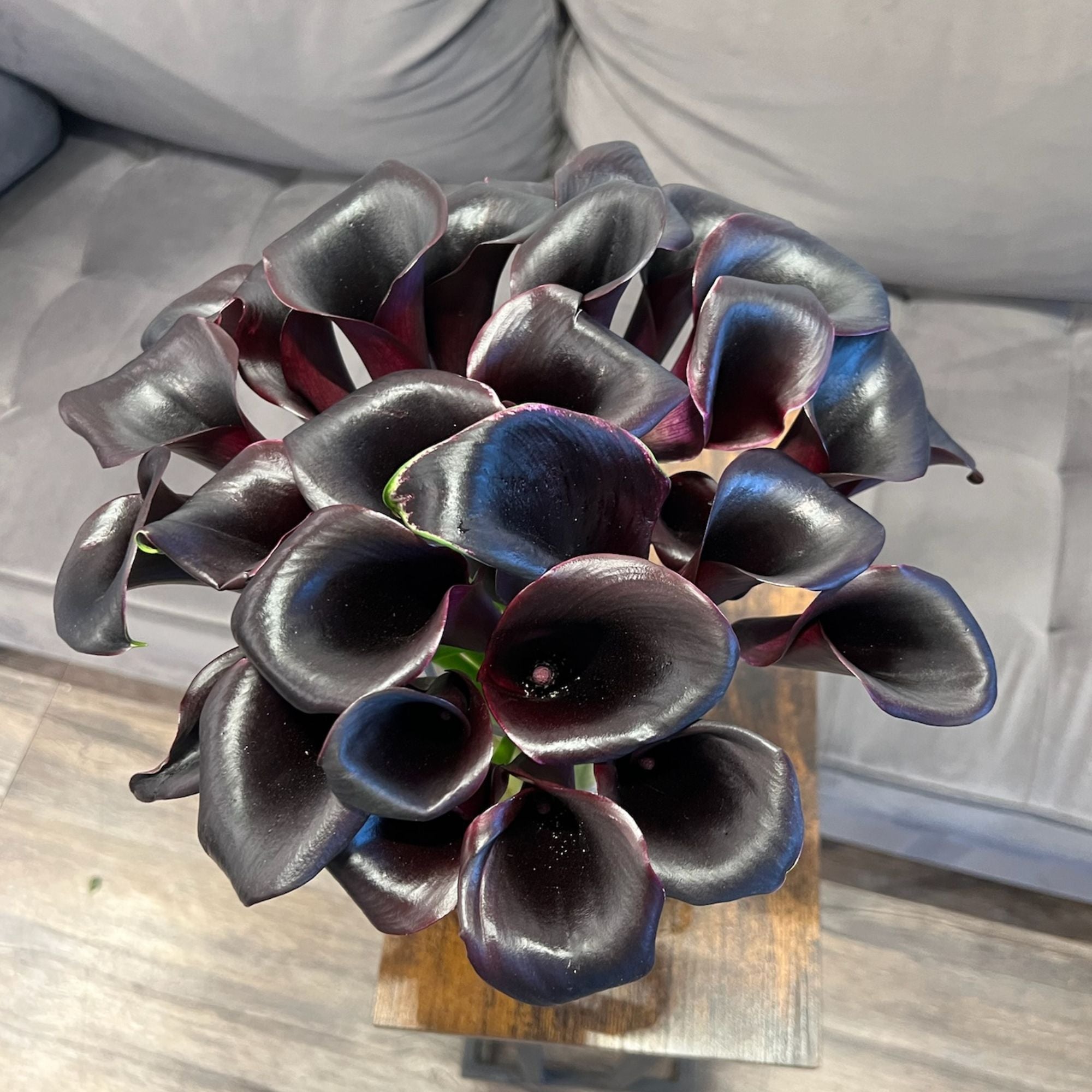 black and white calla lily Black Calla Lilies