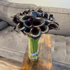 Black Calla Lilies - ART Flowers LA