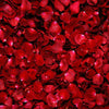 Fresh Red Rose Petals - ART Flowers LA