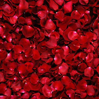 Fresh Red Rose Petals - ART Flowers LA