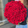 100 Red Roses - ART Flowers LA
