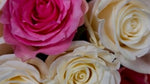Mixed Roses