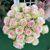 Frutteto Roses