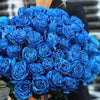 Blue Roses