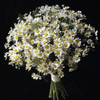 Daisies Wedding Bouquet - ART Flowers LA