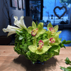 Gorgeous Flowers in a low vase - ART Flowers LA