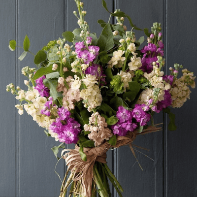 Matthiola Wedding Bouquet - ART Flowers LA