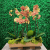 Orange Orchids - ART Flowers LA