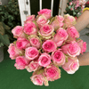 Tender Pink Roses - ART Flowers LA