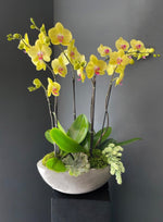 Yellow Orchids and Seasonal Plants - ART Flowers LA